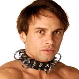 Strict Leather Spiked Dog Collar