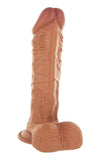 LifeLikes Latin King Dildo