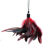 GreyGasms Scarlet Plume Feather Tickler