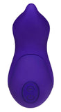 Royal Purple Silicone Pointer Vibe