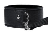 Frisky Beginner Leash and Collar set