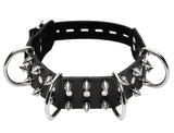 Bad Dog Leash and Spiked Collar Kit