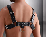 English Bull Dog Harness