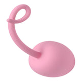 Pig Tail Silicone Anal Plug