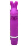 Pocket Rabbit with Free Remote G-Spot Vibe