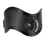 Straight Up Padded Locking Posture Collar