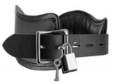 Straight Up Padded Locking Posture Collar