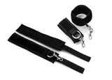 Subtrap Over the Door Restraint Set