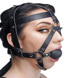 Leather Head Harness with Ball Gag