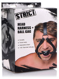 Head Harness with inch Ball Gag