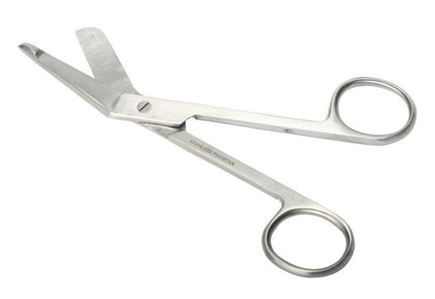 Lister Surgeons Scissors