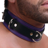 Strict Leather Deluxe Locking Collar - Purple and Black