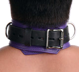 Strict Leather Deluxe Locking Collar - Purple and Black