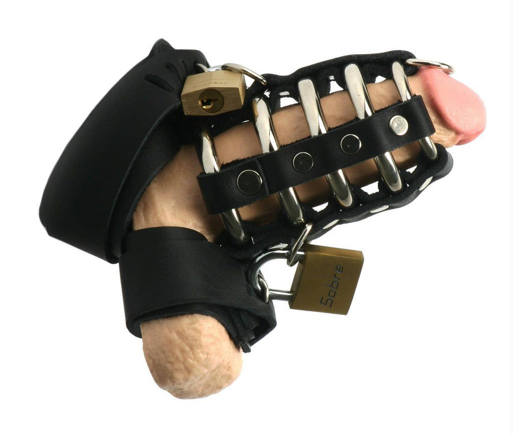 Strict Leather Gates of Hell Chastity Device