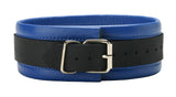 Blue Mid-Level Leather Collar