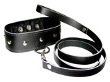 Leather Leash and Collar