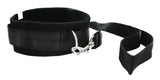 Frisky 46 Inch Leash and Collar Set