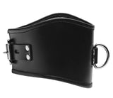 Padded Leather Locking Posture Collar