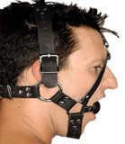 Leather Ball Gag Harness